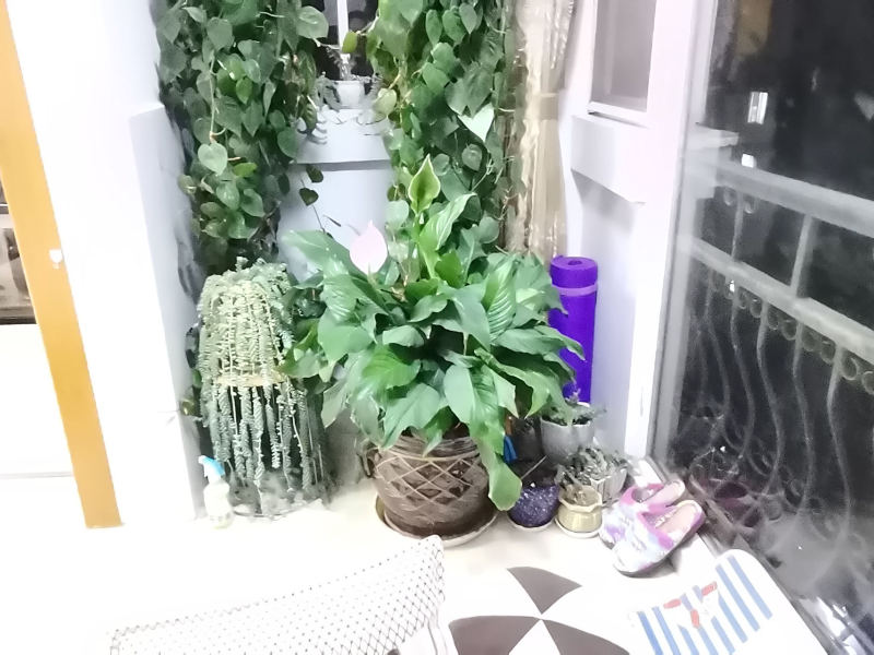 2室2廳1陽臺 時代年華錦華苑陽臺