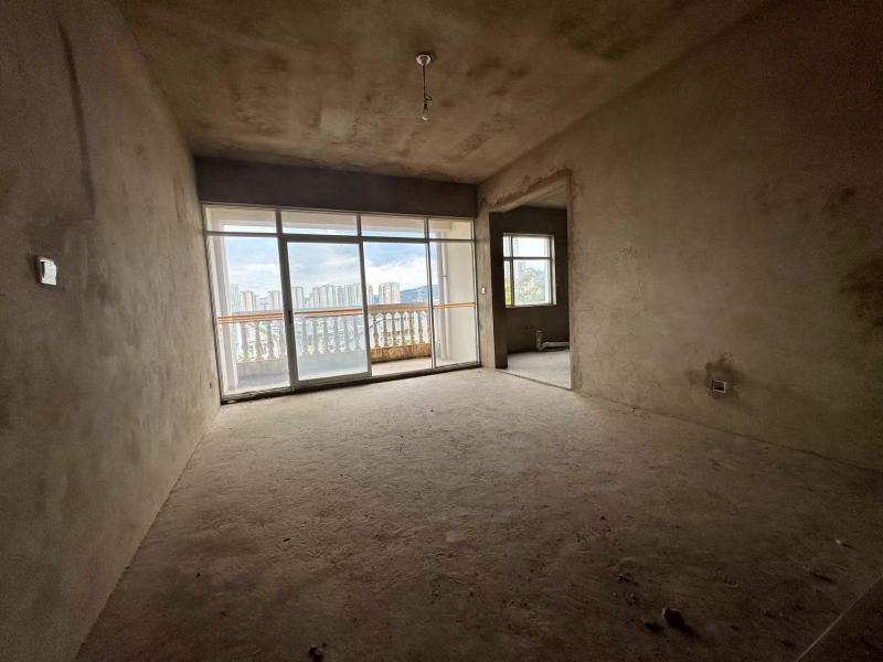 5室3廳3陽臺 清水木華別墅客廳