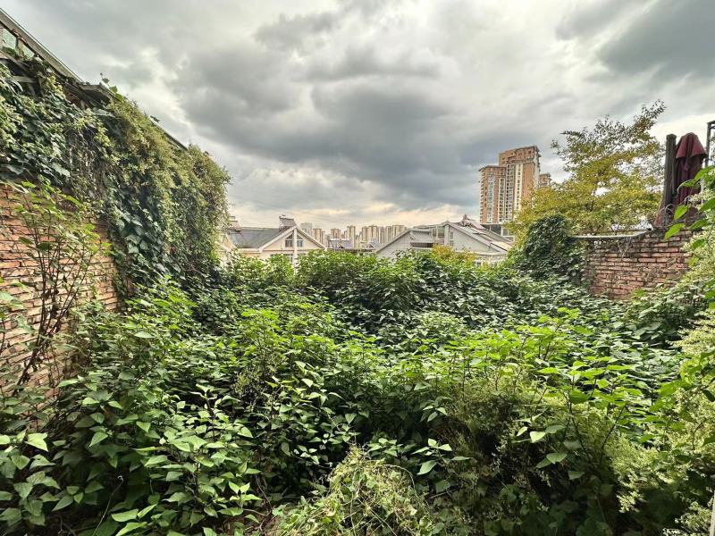 5室3廳3陽臺 清水木華別墅自家花園