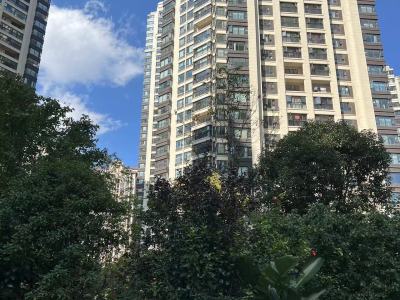 3室2廳1陽臺 金地九樾