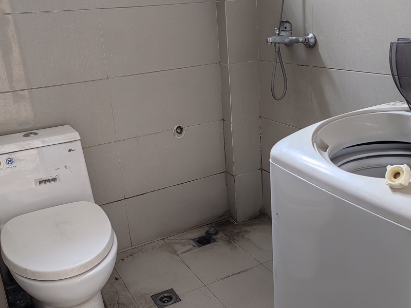 2室2廳1陽臺(tái) 豐和苑衛(wèi)生間