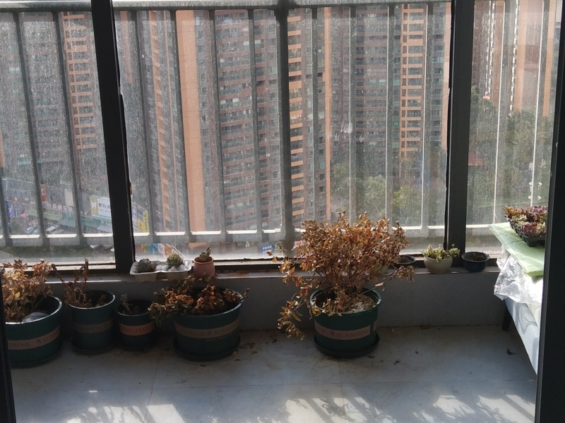 2室2廳2陽臺 海倫國際米蘭區(qū)陽臺