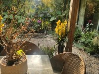 5室2廳2陽臺 金岸春天自家花園