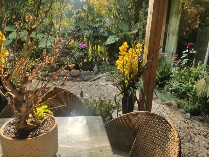 5室2廳2陽臺 金岸春天自家花園