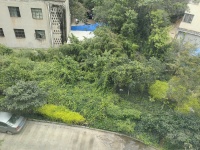 2室2廳1陽臺(tái) 豐和苑其他