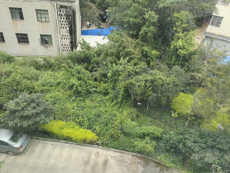 2室2廳1陽臺(tái) 豐和苑其他