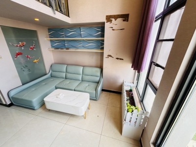 1室1廳 遠(yuǎn)洋青云府