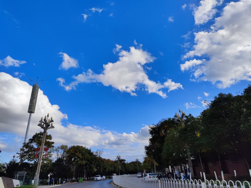 5室2廳3陽臺(tái) 公園1903圣維望其他