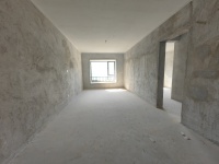 3室2廳1陽臺 遠(yuǎn)洋青云府客廳