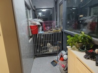 3室2廳2陽(yáng)臺(tái) 招商雍和府一期陽(yáng)臺(tái)