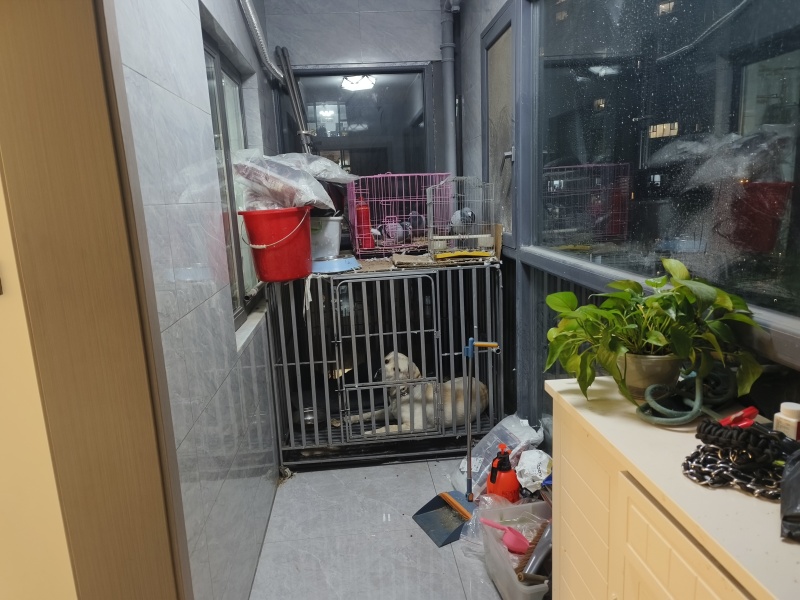 3室2廳2陽(yáng)臺(tái) 招商雍和府一期陽(yáng)臺(tái)