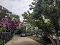 5室4廳1陽(yáng)臺(tái) 滇池衛(wèi)城紫廬別墅其他