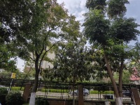 6室3廳3陽(yáng)臺(tái) 滇池衛(wèi)城紫廬別墅其他