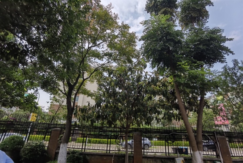 6室3廳3陽(yáng)臺(tái) 滇池衛(wèi)城紫廬別墅其他