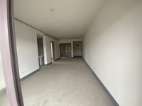 2室2廳1陽臺 金地悅境客廳