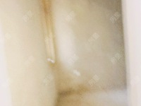 5室3廳3陽臺 湖畔之夢別墅戶型圖