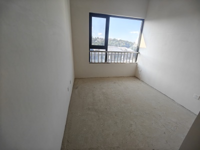 4室2廳2陽(yáng)臺(tái) 世博生態(tài)城藍(lán)湖鄰里一期