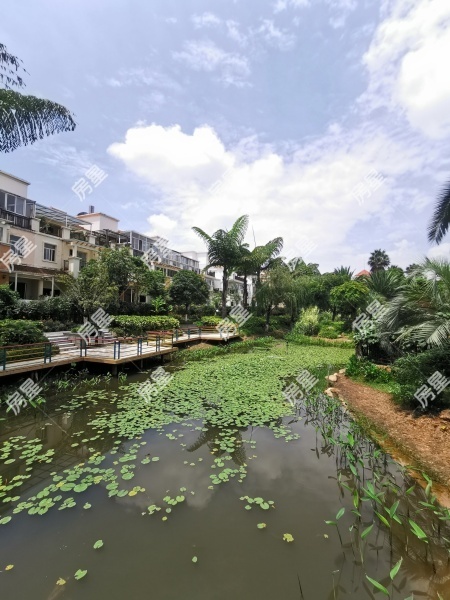 4室2廳2陽臺 玫瑰灣小區(qū)其他