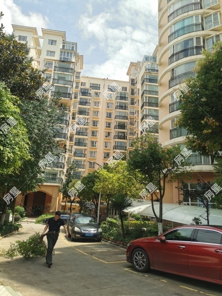 4室2廳2陽臺 玫瑰灣小區(qū)其他