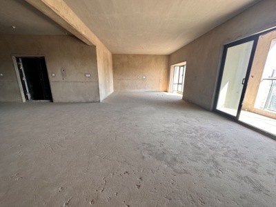 6室2廳4陽(yáng)臺(tái) 世博首岸