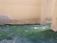 5室2廳3陽臺 云大知城一期別墅客廳