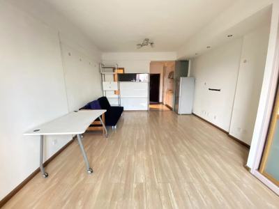 1室1廳1陽(yáng)臺(tái) 中央麗城