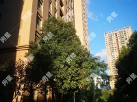 3室2廳1陽臺 廣福城和福園客廳