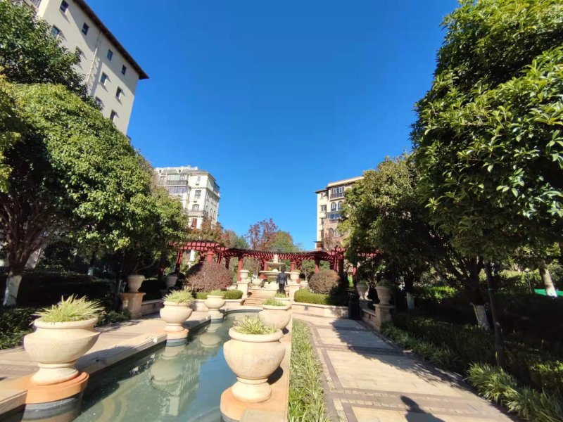 5室3廳3陽臺 公園1903圣維望別墅其他