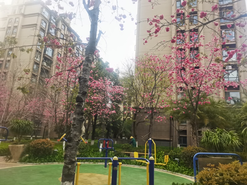 筑友双河湾博雅苑自家花园