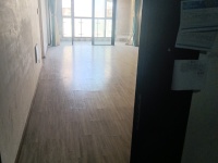 3室2廳1陽臺 昆明湖中壩14號地塊臻園B區(qū)門廳