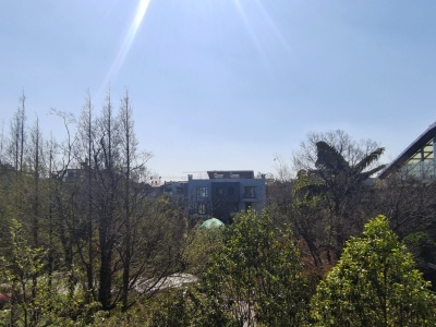 4室2廳4陽(yáng)臺(tái) 同德極少墅