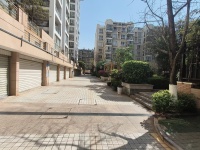 3室2廳1陽(yáng)臺(tái) 銀杏廊亭其他