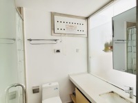 1室1廳1陽臺 綠地大城天地公寓衛(wèi)生間