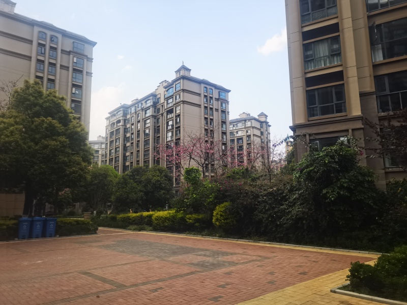 筑友双河湾博雅苑自家花园