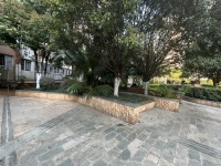 3室2廳1陽臺 夏意雅園自家花園