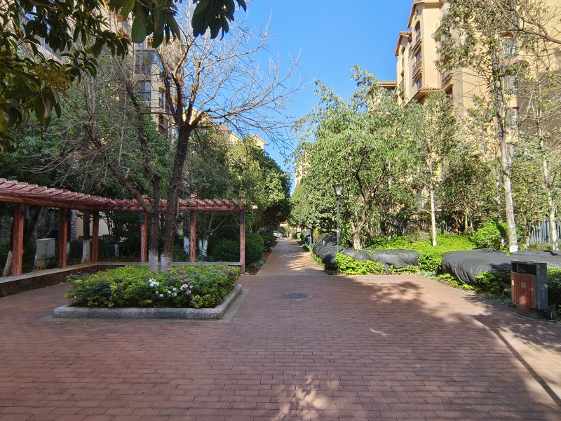 3室2廳2陽(yáng)臺(tái) 平和花園其他