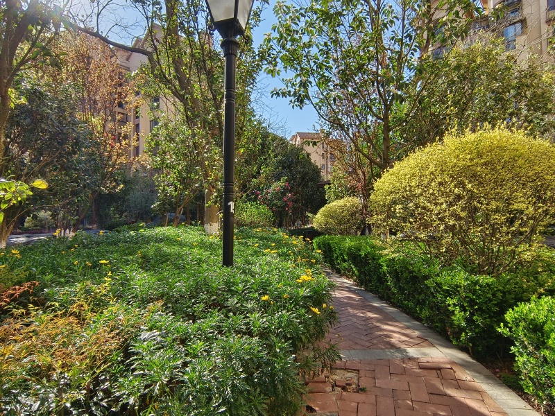 3室2廳2陽(yáng)臺(tái) 平和花園其他