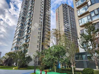 3室2廳 新希望觀瀾匯