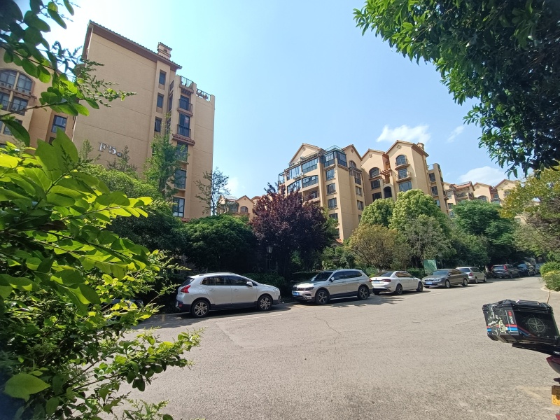 4室2廳3陽臺 平和花園其他