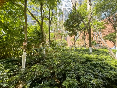 2室2廳1陽臺 南亞風(fēng)情第壹城星河苑