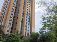 3室2廳2陽臺 藍光COCO蜜城其他