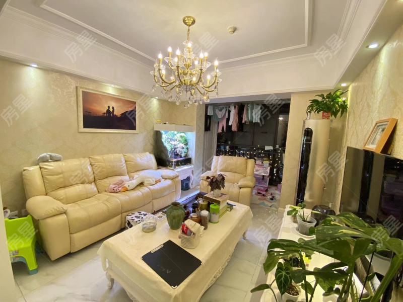 2室2廳1陽臺 銀杏金川其他