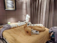 5室3廳2陽臺 滇池衛(wèi)城錦尚戶型圖