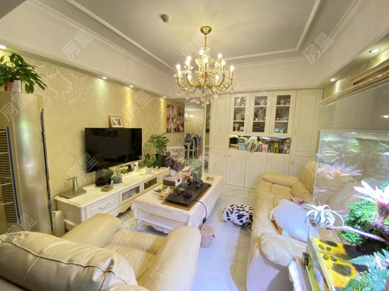 2室2廳1陽臺 銀杏金川其他