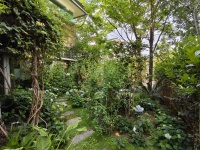 6室2廳3陽臺(tái) 滇池高爾夫別墅別墅其他