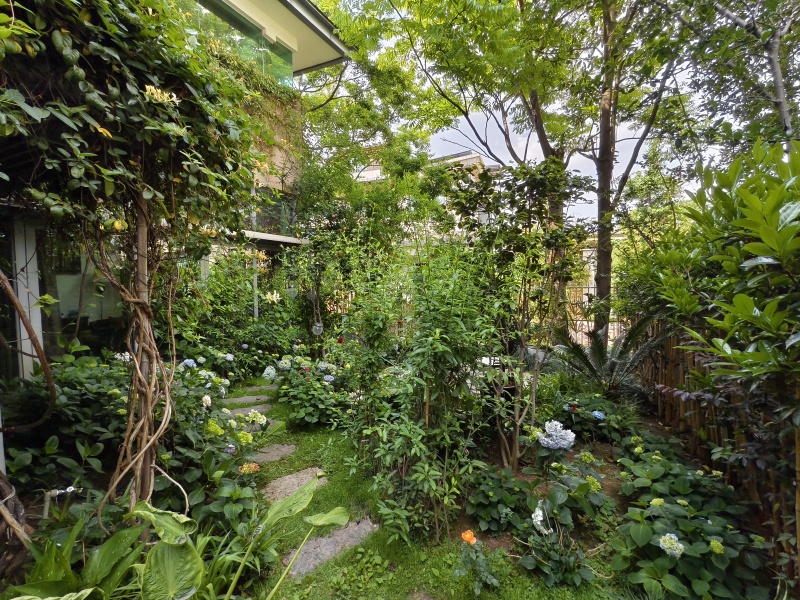 6室2廳3陽臺(tái) 滇池高爾夫別墅別墅其他