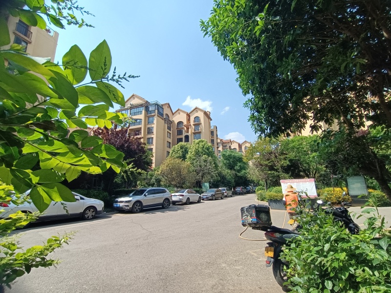 4室2廳3陽臺 平和花園其他