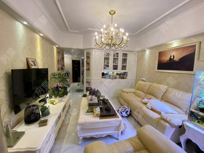 2室2廳1陽臺 銀杏金川其他