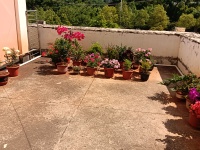 3室1廳 西鐵小區(qū)自家花園