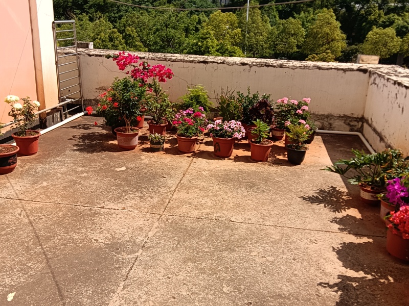 3室1廳 西鐵小區(qū)自家花園